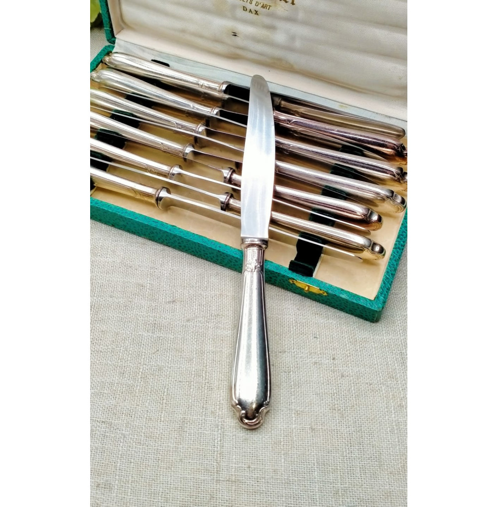 Set 12 cuchillos metal argenté