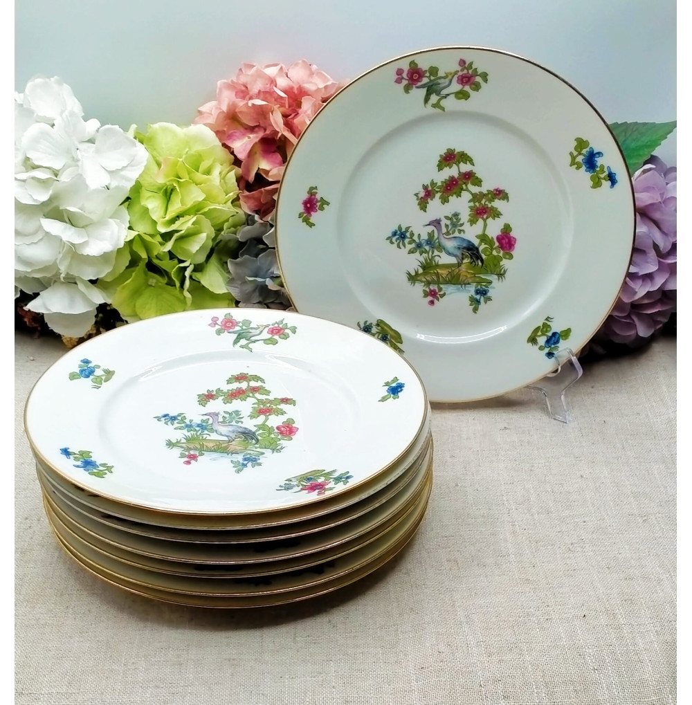 Set Limoges 8 llanos