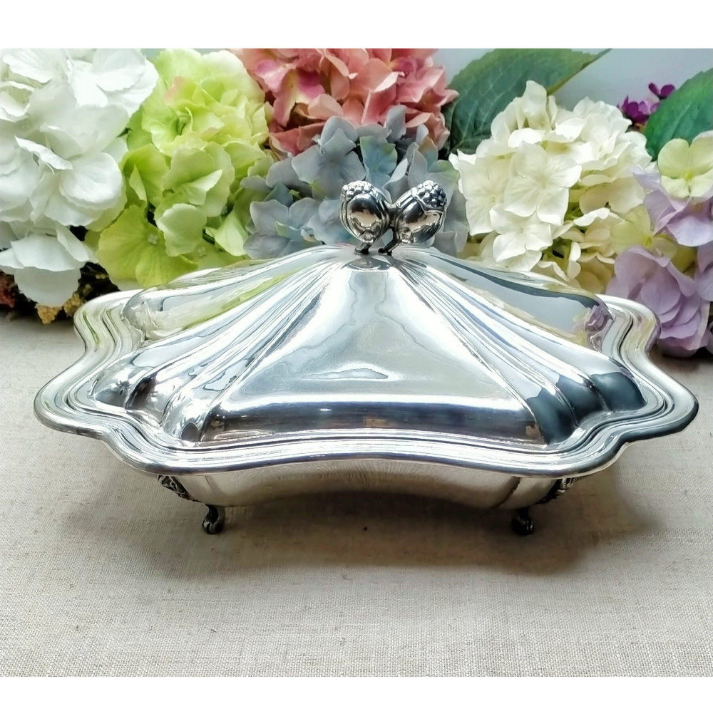 Legumbrera alpaca plateada