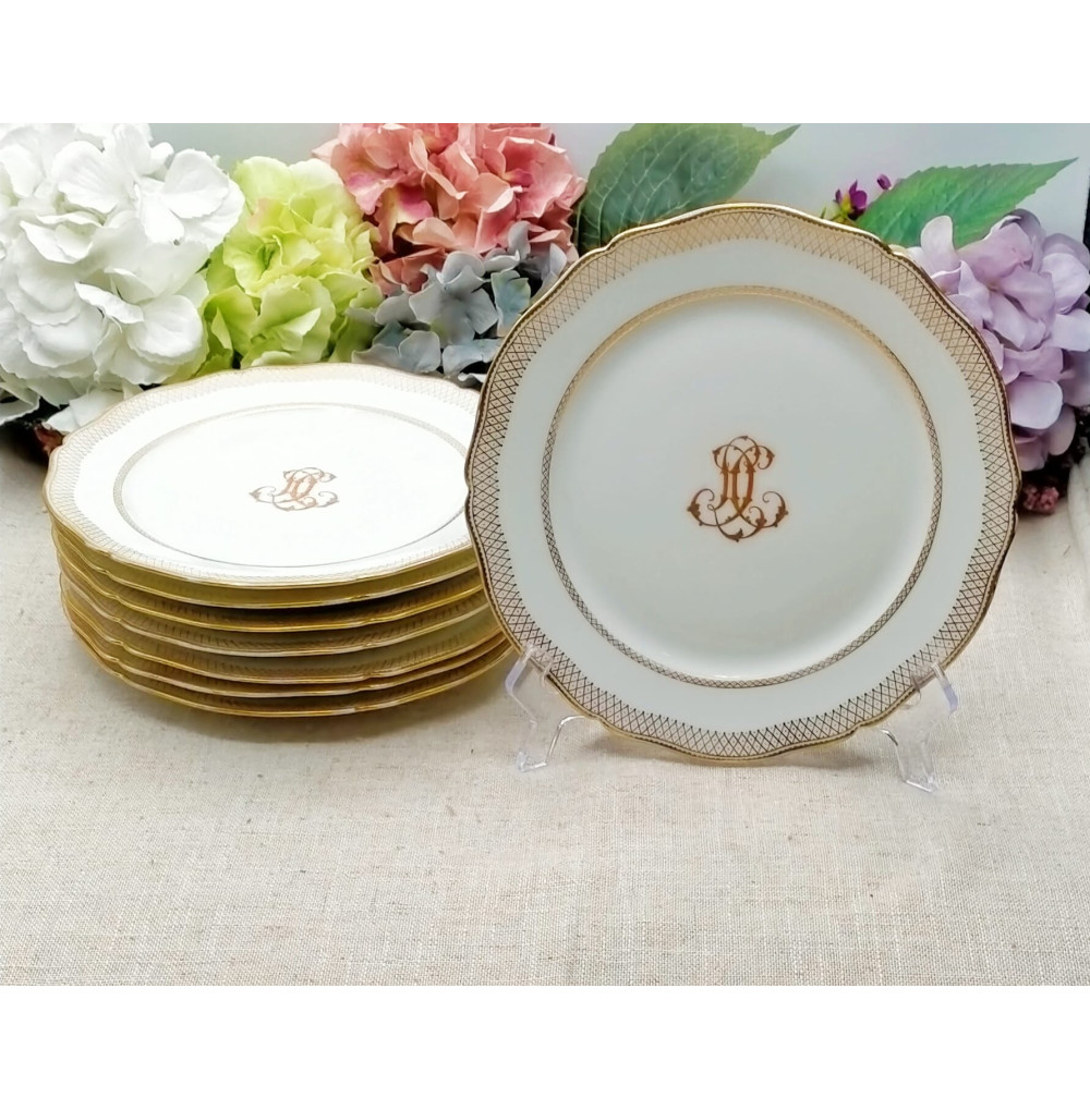 Platos porcelana 22cm