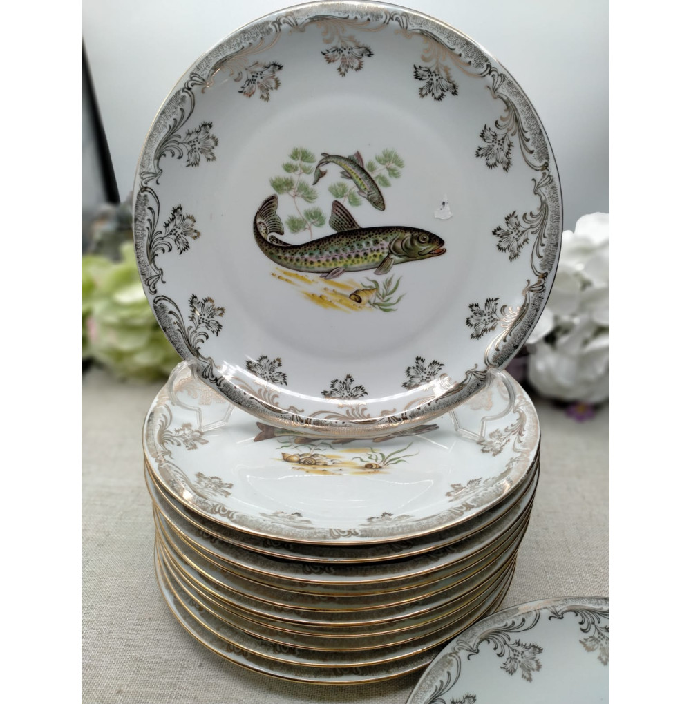 PECES Bavaria (12 platos)