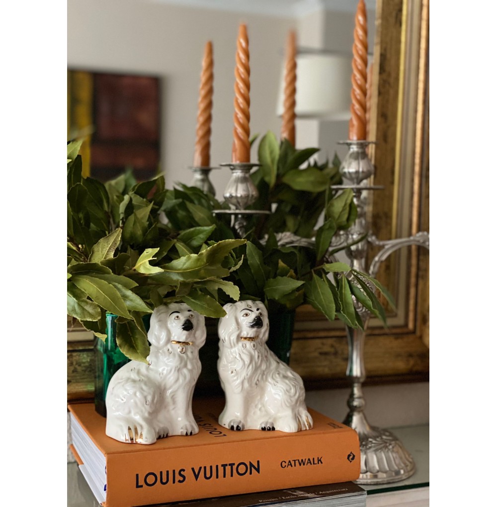 Pareja perros Staffordshire...