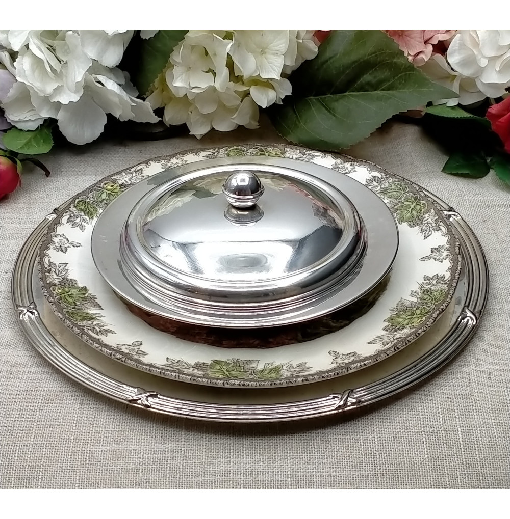 Angulera alpaca unidad