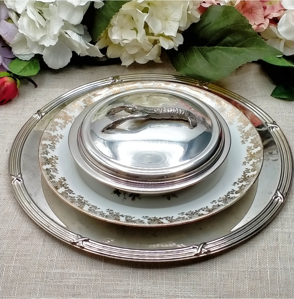 Angulera alpaca unidad