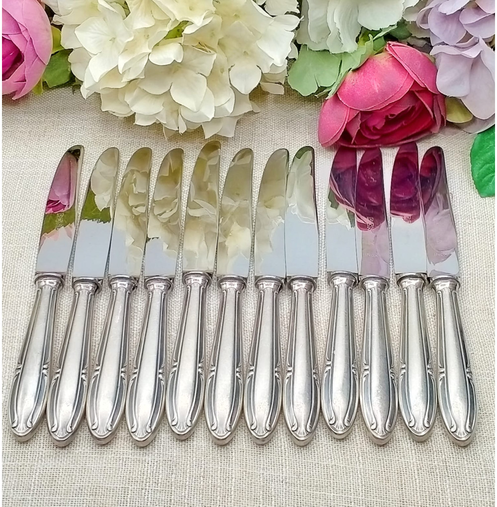 Cuchillos. Set de 12