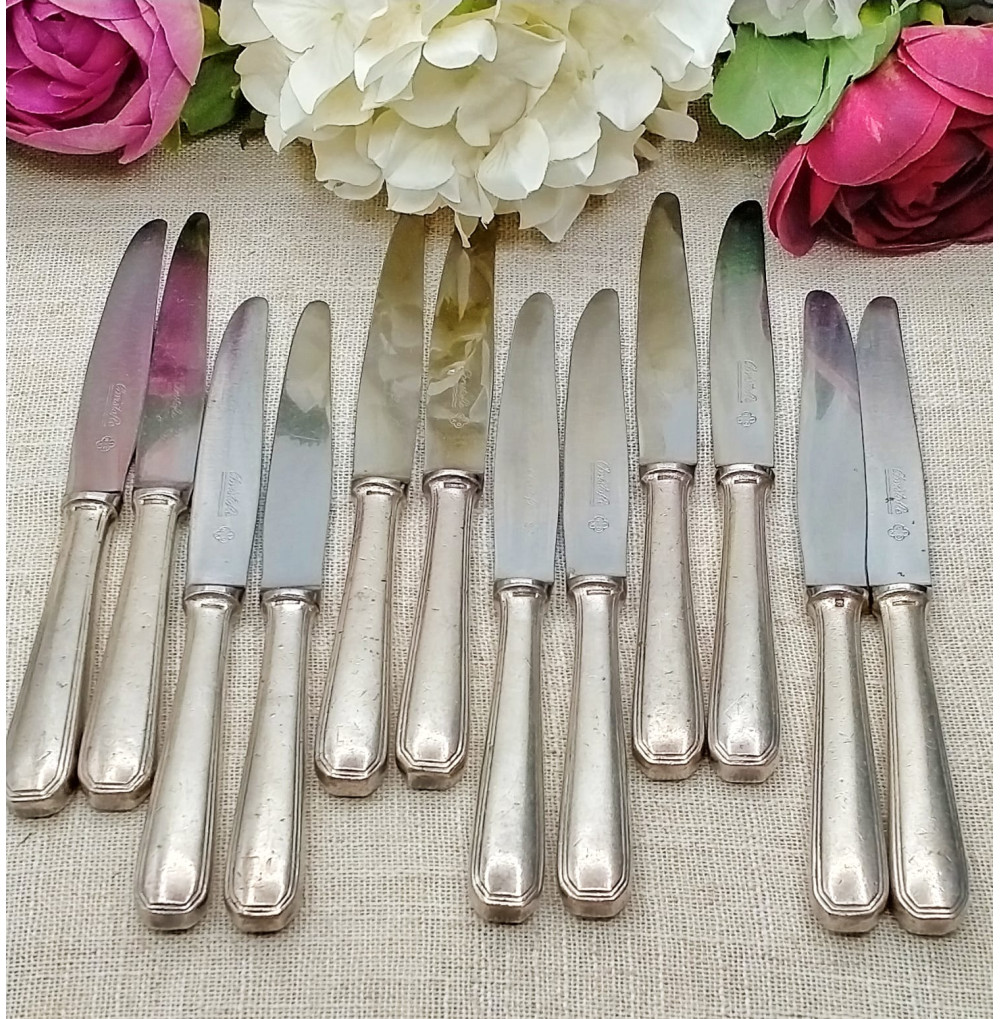 Cuchillos. Set de 12