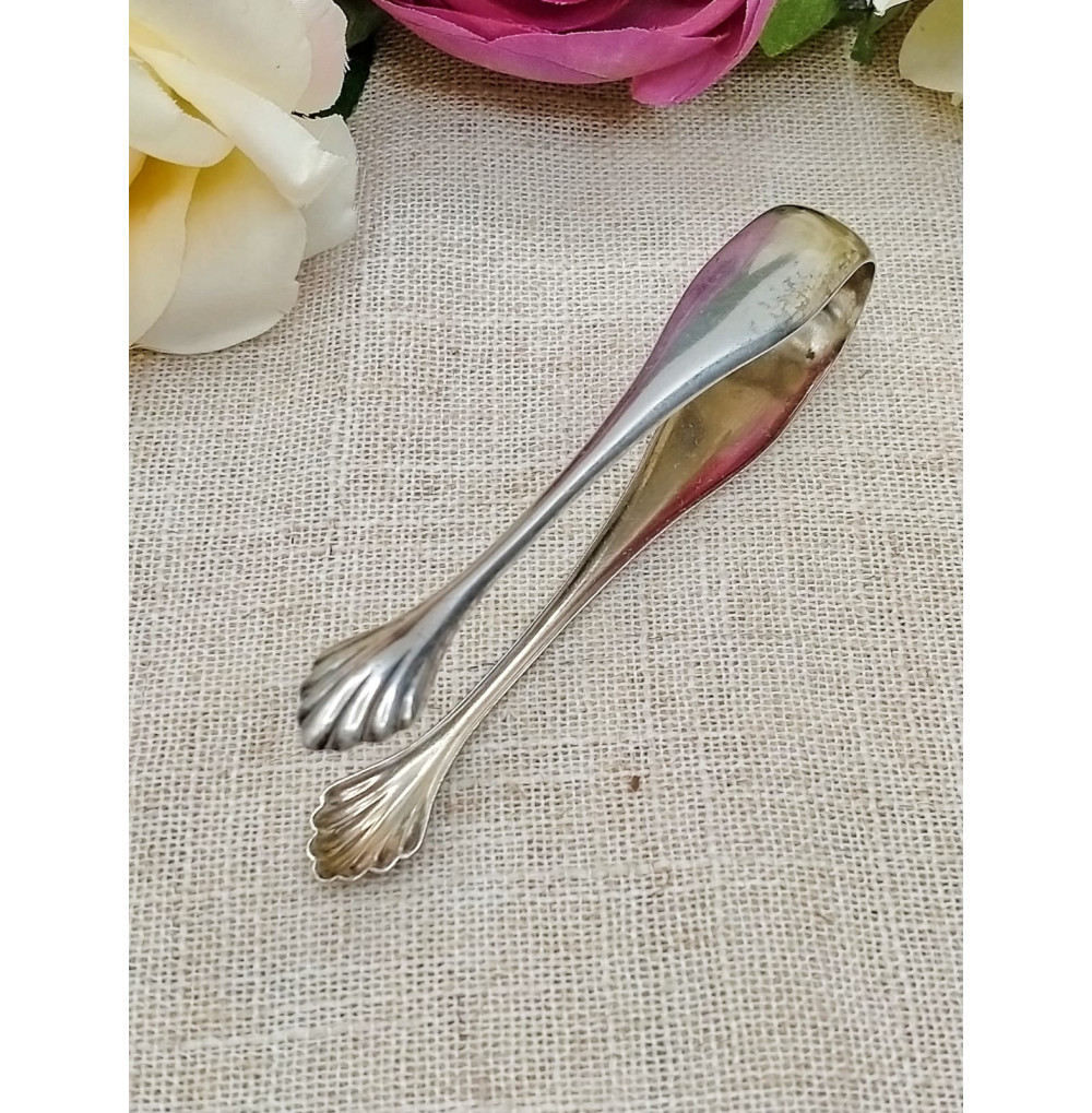 Pinzas de plata de ley