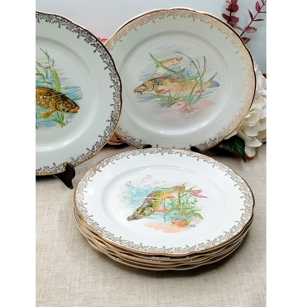 PECES 7 platos llanos